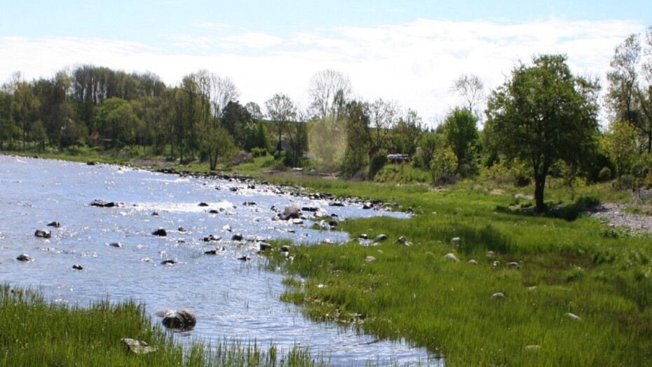 Gr�nt lys til nyt miniv�domr�de ved �stermarie