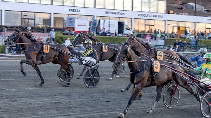 Bornholmerhest klar til stor finale p� Derbydagen