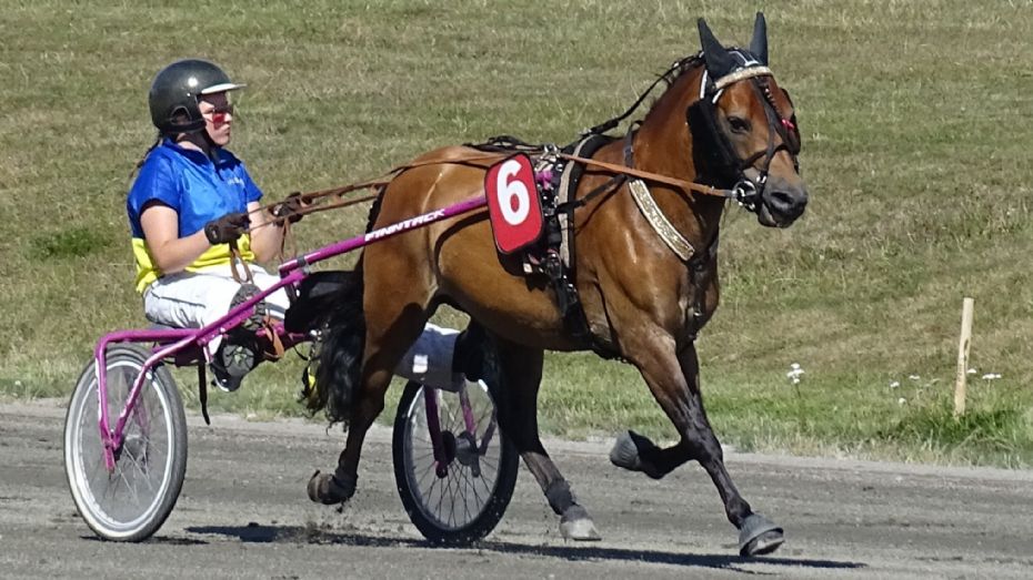 To bornholmere til nordisk mesterskab i ponytrav