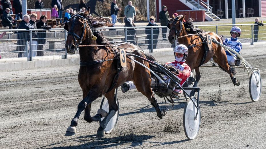 Tre heste k�mper om titlen som �rets Sejrshest