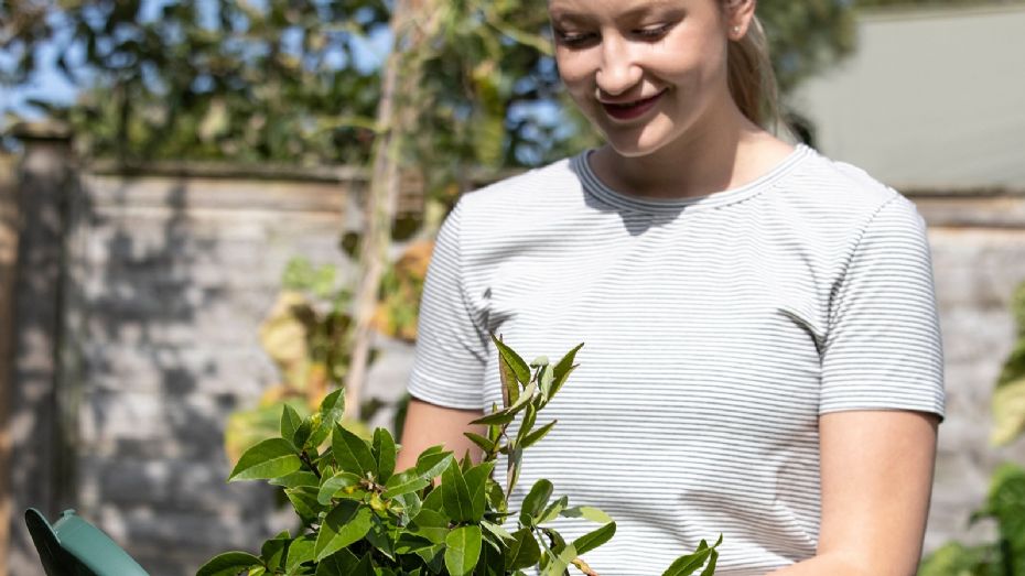 Haveaffald som ny n�ring i bornholmske haver