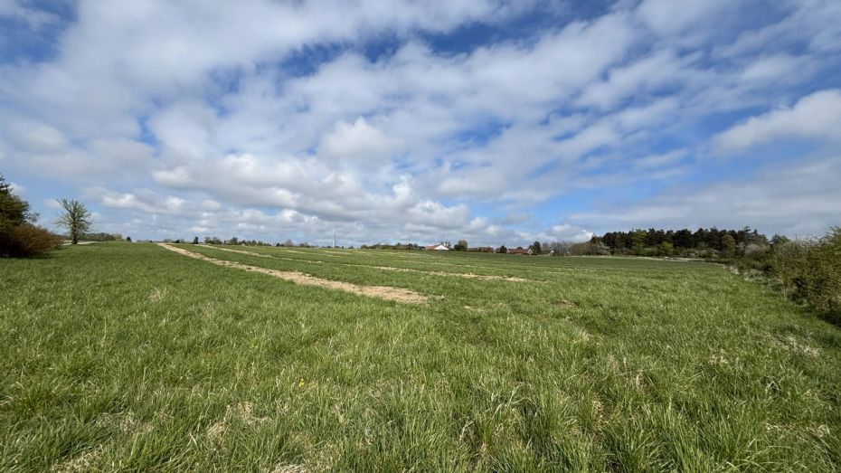 Ark�ologer frigiver areal til arbejderboliger i Aakirkeby