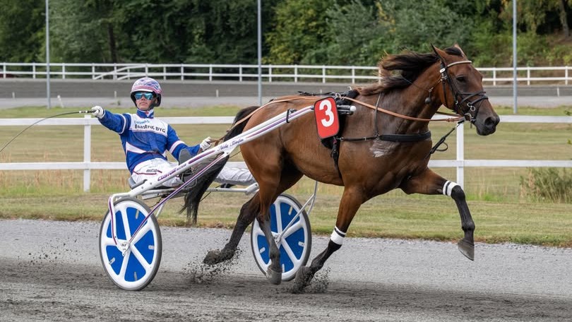 Eksperterne jagter vinderne til tirsdagens trav