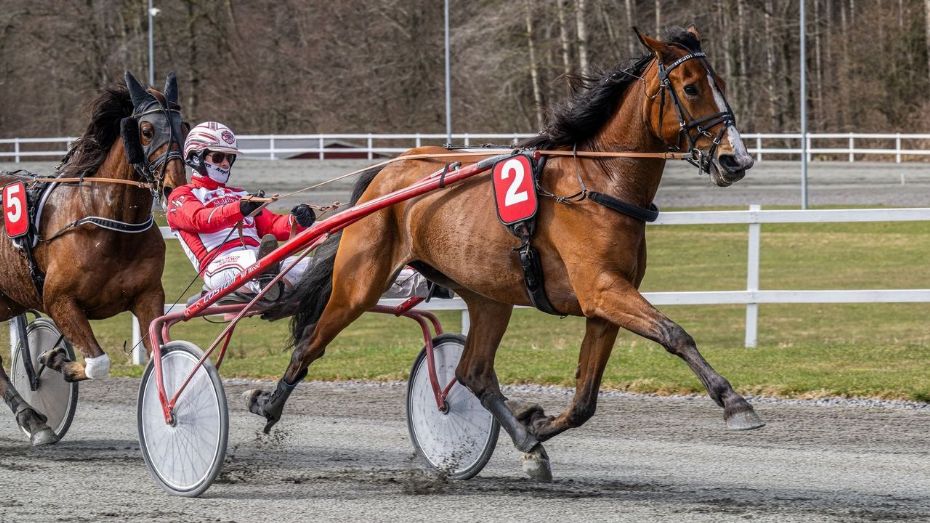 Fortsat sp�nding om prestigefyldt titel