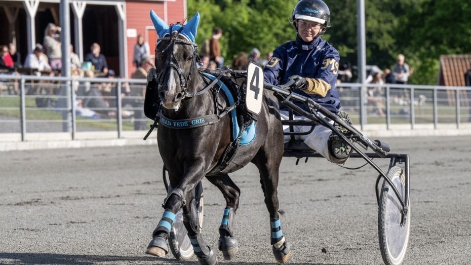 Bornholmske ponyer klar til DM p� Charlottenlund