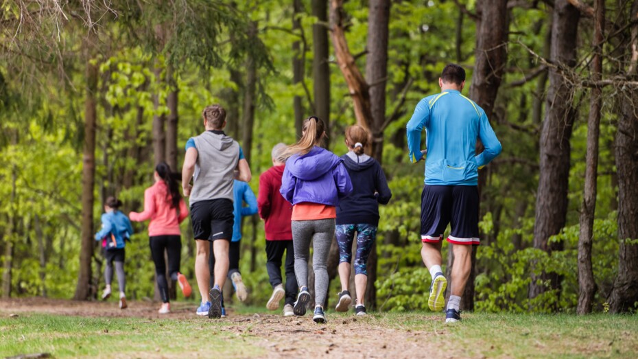 Idr�tsr�d siger nej til besparelser i skovene