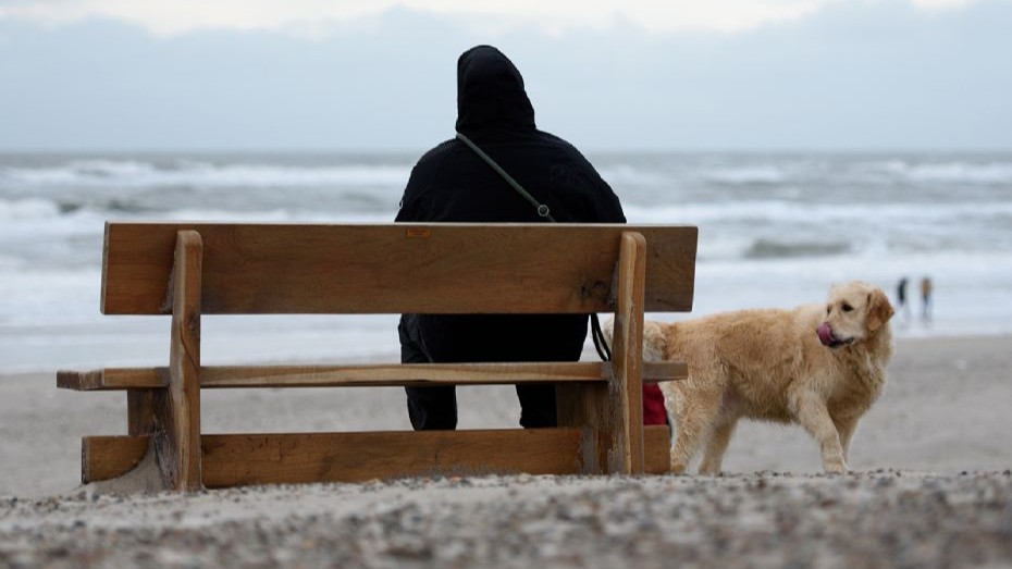 Tag hunden med ud i Bornholms natur � men husk snoren