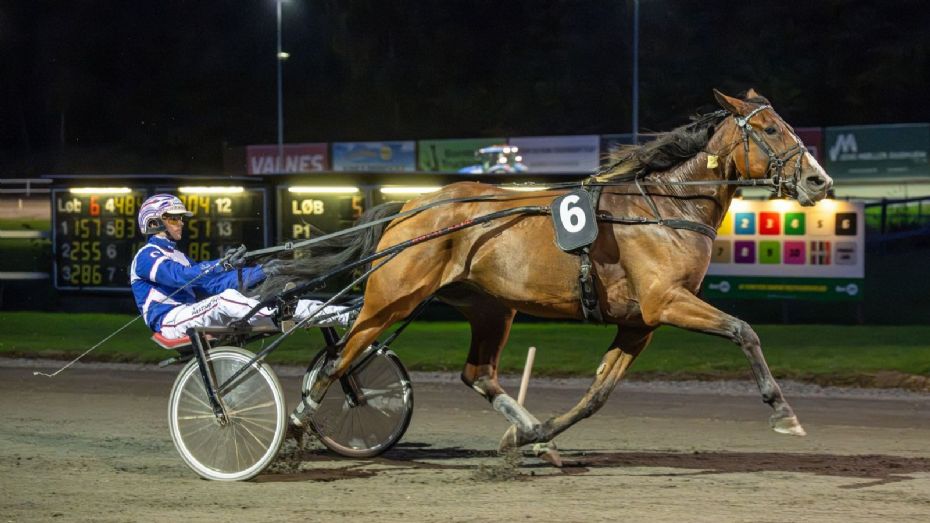 Endnu en sejr til Hejdi Hovmand