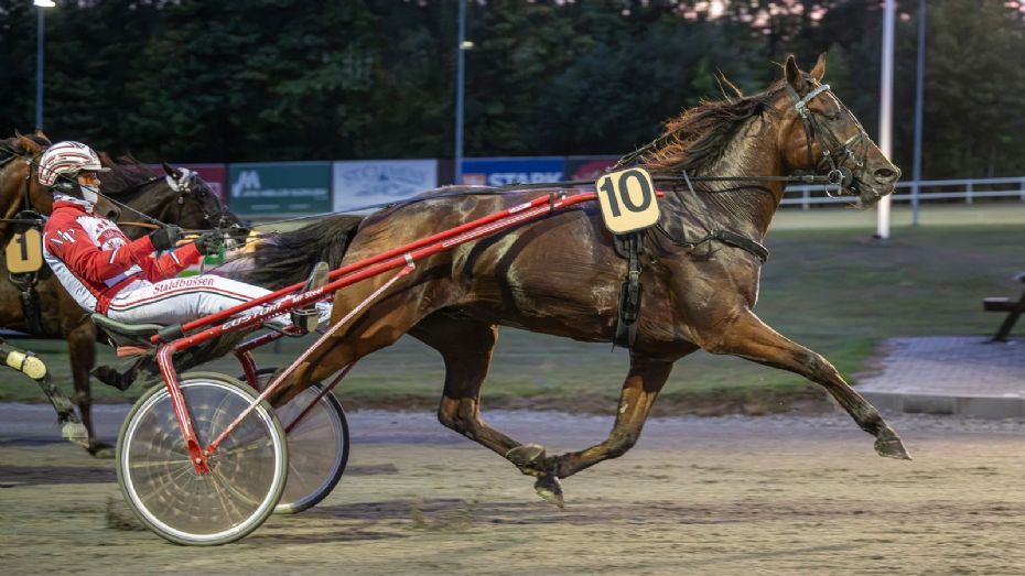 Cerosso tangerede 13 �r gammel banerekord