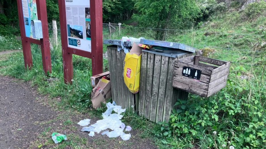Bornholm beholder skraldespandene i naturen