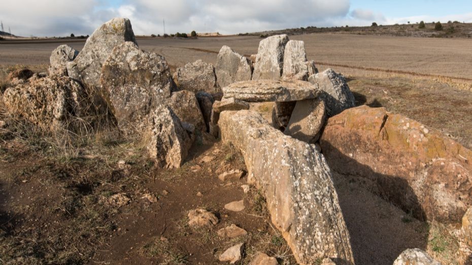 Beskyttet stendige m� fjernes for Energi� Bornholm
