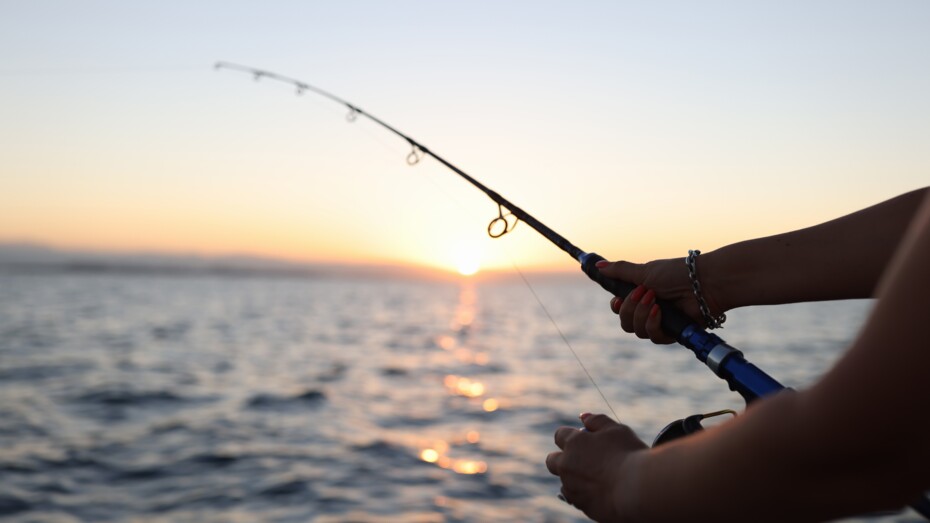 Fortsat forbud mod torskefiskeri for lystfiskere