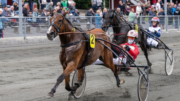 Eksperterne er uenige f�r Golden League-brag