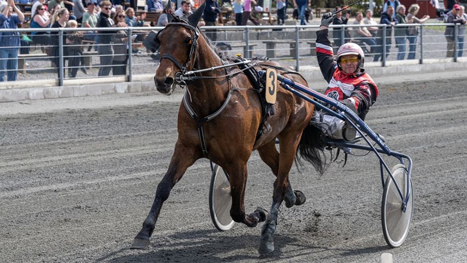 Ismael beh�ver ikke vinde for at beholde f�rstepladsen