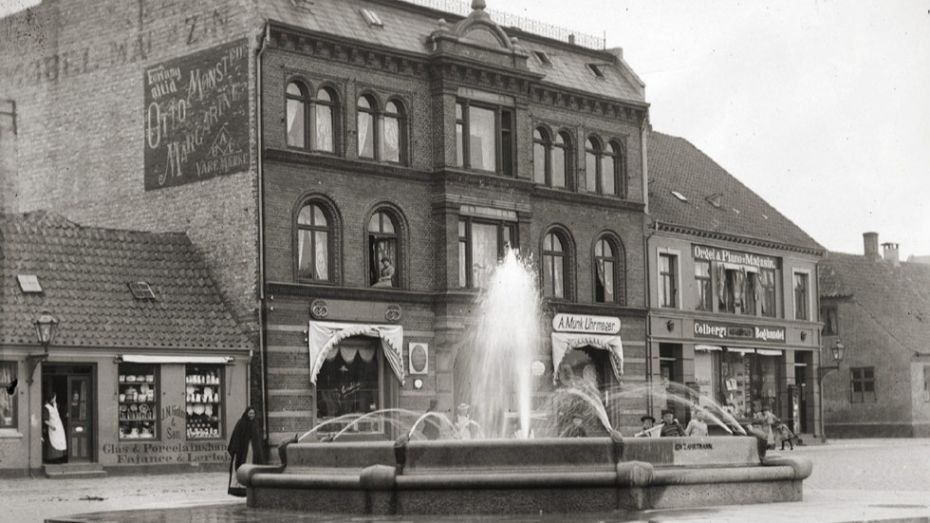 Ny bog fort�ller historien om Store Torv