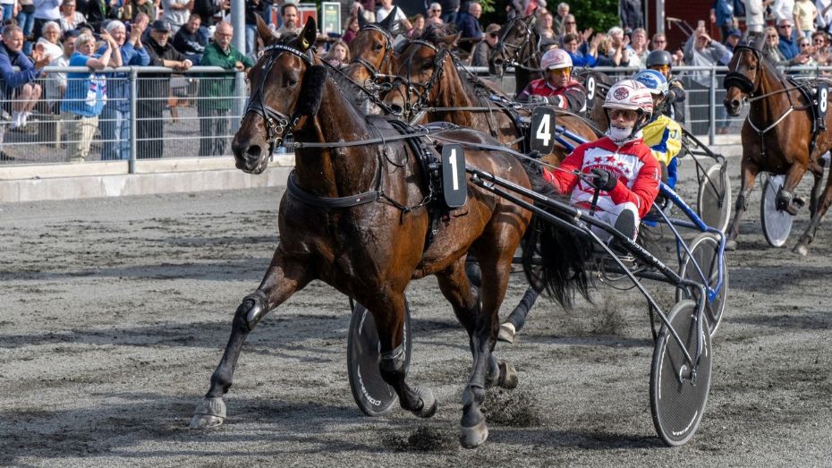Bold Request favorit i mesterskabsrevanchen