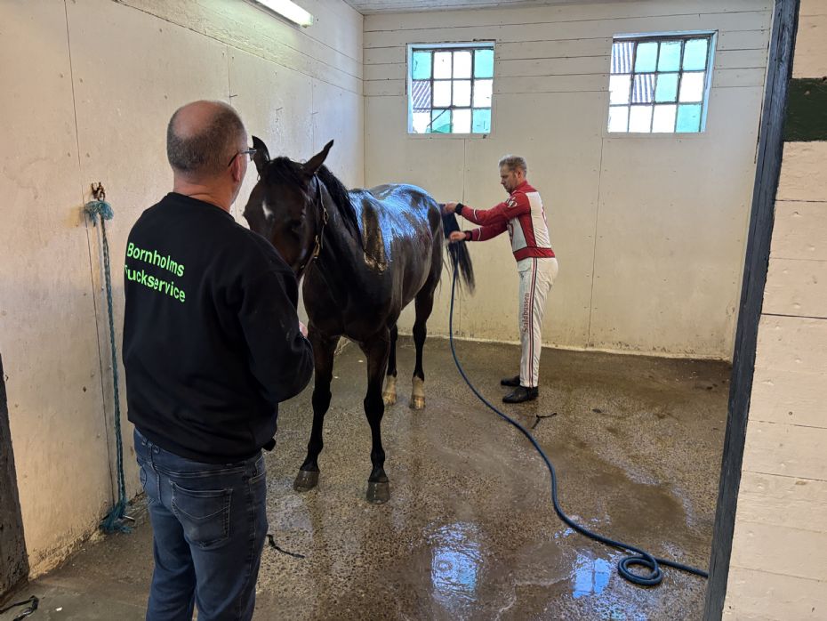 Kissed by Rain sl�et af Derby-deltager