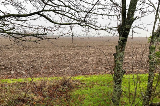 Foto: R�nne Ejendomshandel<br>