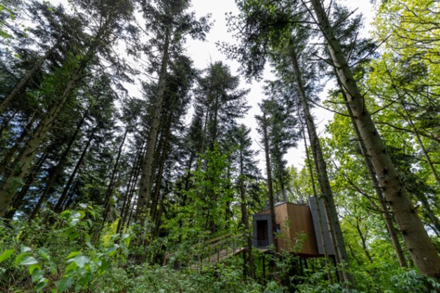 Foto: S�ren Larsen<br>