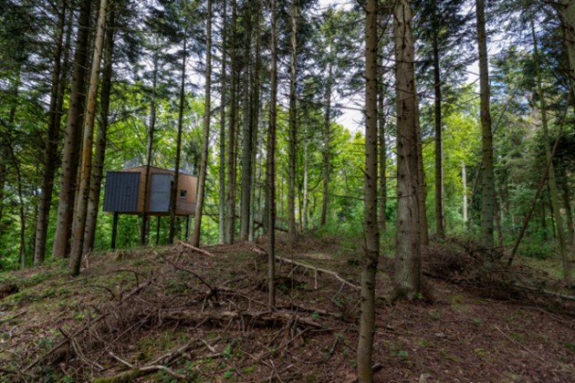 Foto: S�ren Larsen<br>