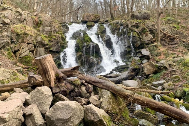 Foto: Presse-fotos.dk<br>