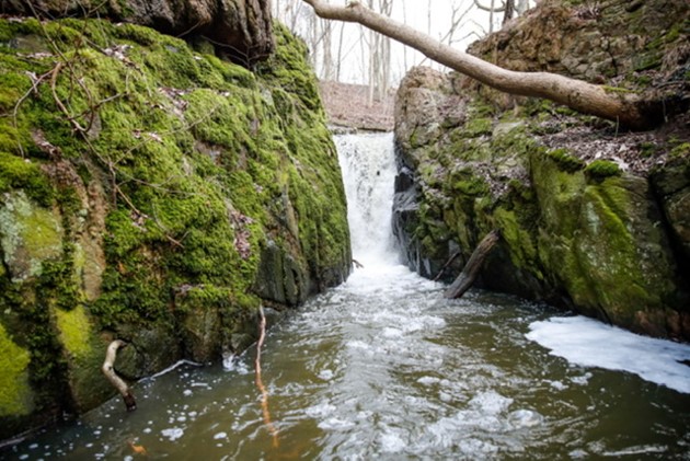 Foto: Presse-fotos.dk<br>