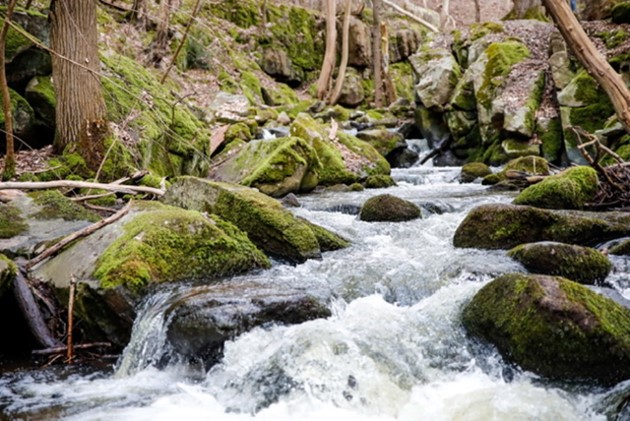 Foto: Presse-fotos.dk<br>