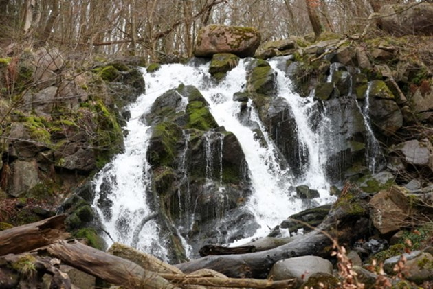 Foto: Presse-fotos.dk<br>