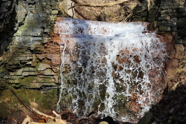 Foto: Presse-fotos.dk<br>