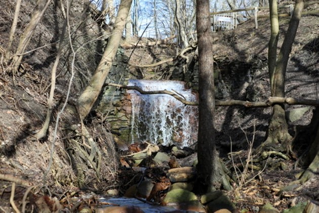 Foto: Presse-fotos.dk<br>