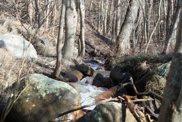 Foto: Presse-fotos.dk<br>