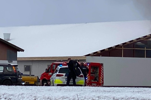 Foto: Presse-fotos.dk<br>