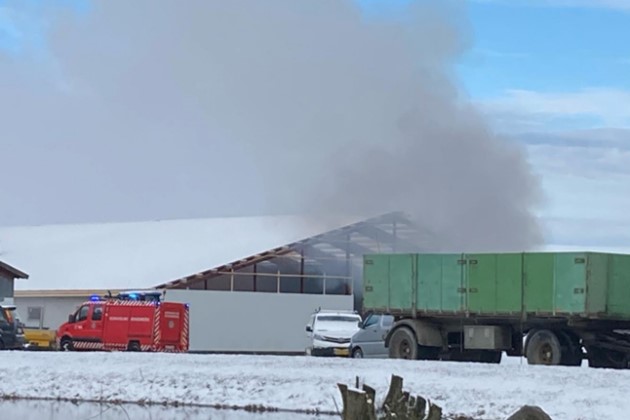 Foto: Presse-fotos.dk<br>