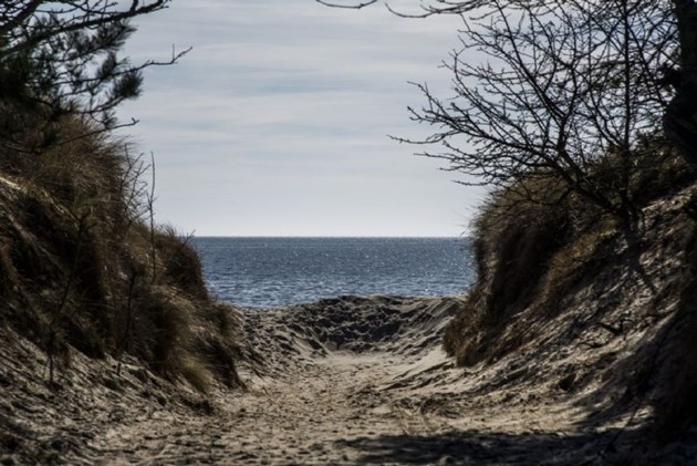 Foto: R�nne Ejendomshandel<br>