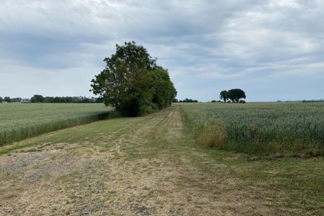 Foto: R�nne Ejendomshandel<br>