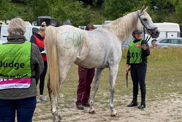 Anne Mette Safft og Wasim Jamaal er blandt de 10 bedste langdistanceryttere i Danmark. Privatfoto<br>