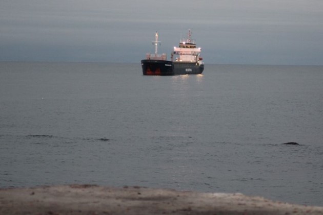 Foto: Presse-fotos.dk<br>