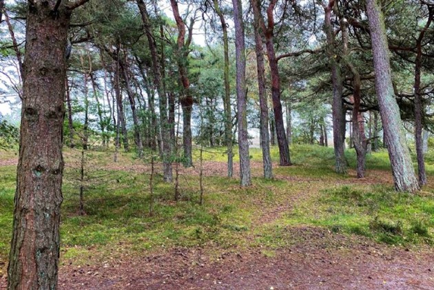 Foto: R�nne Ejendomshandel<br>