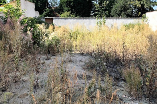 Foto: R�nne Ejendomshandel<br>