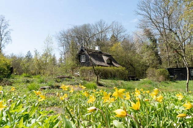 Foto: DanBolig Bornholm<br>