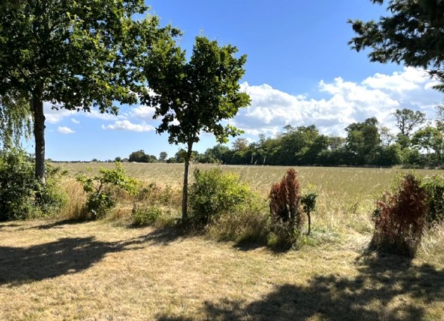 Foto: R�nne Ejendomshandel<br>