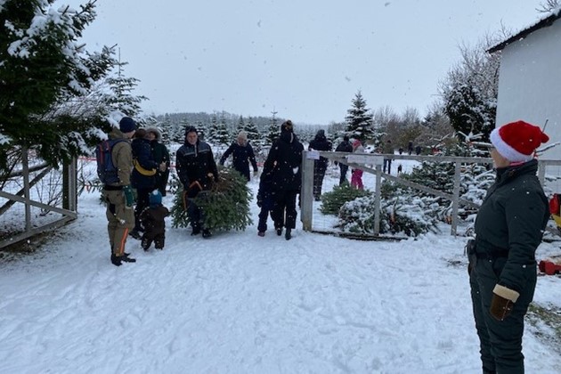 Kunderne fandt selv deres juletr�er.<br>