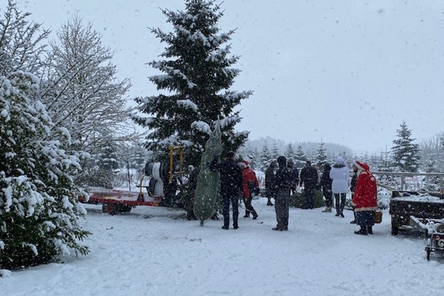 Kunderne fandt selv deres juletr�er.<br>...og nogle var store, andre sm�.<br>