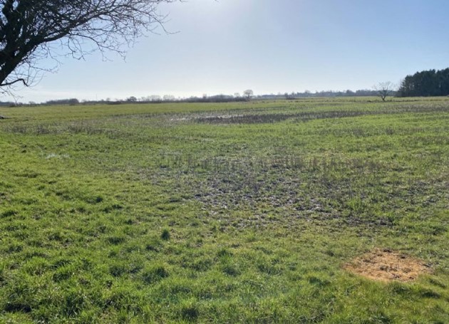 Foto: R�nne Ejendomshandel<br>