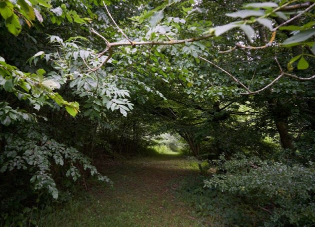 Foto: R�nne Ejendomshandel<br>