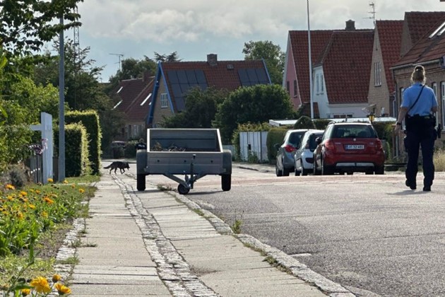 Foto: Presse-fotos.dk<br>